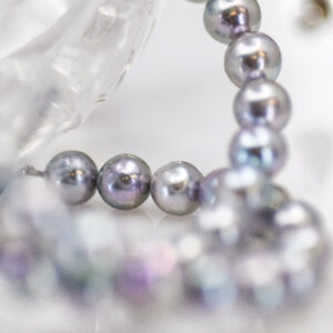 "Blue Rose" Akoya Cultured Pearls
