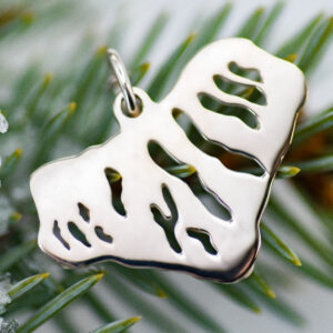 Sterling Silver Heart of the Finger Lakes Charm