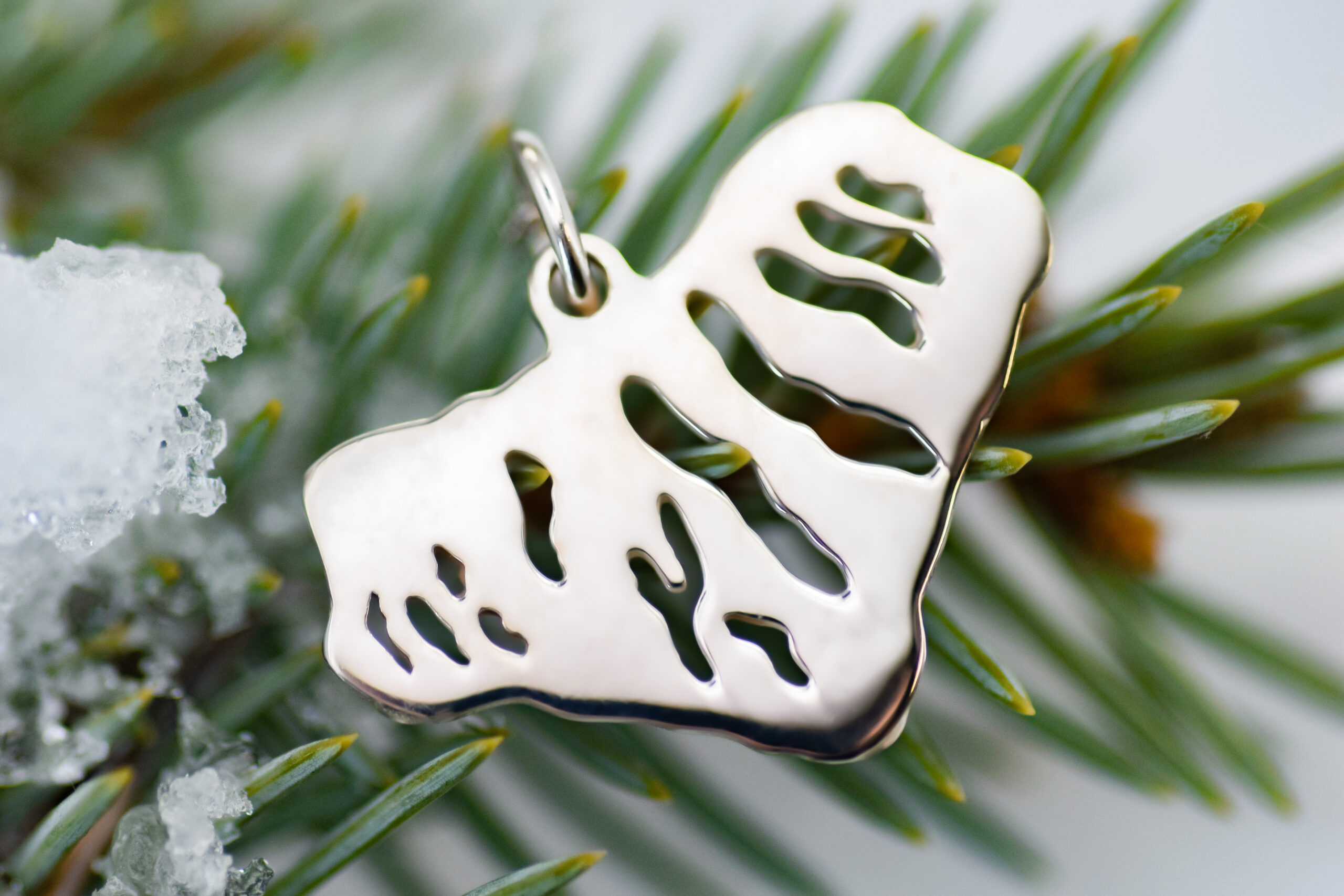 Sterling Silver Heart of the Finger Lakes Charm